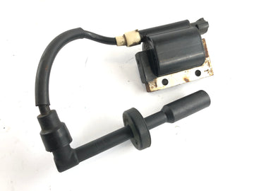 KTM Duke 390 [2014] - Bobina de ignição com plugue - 0