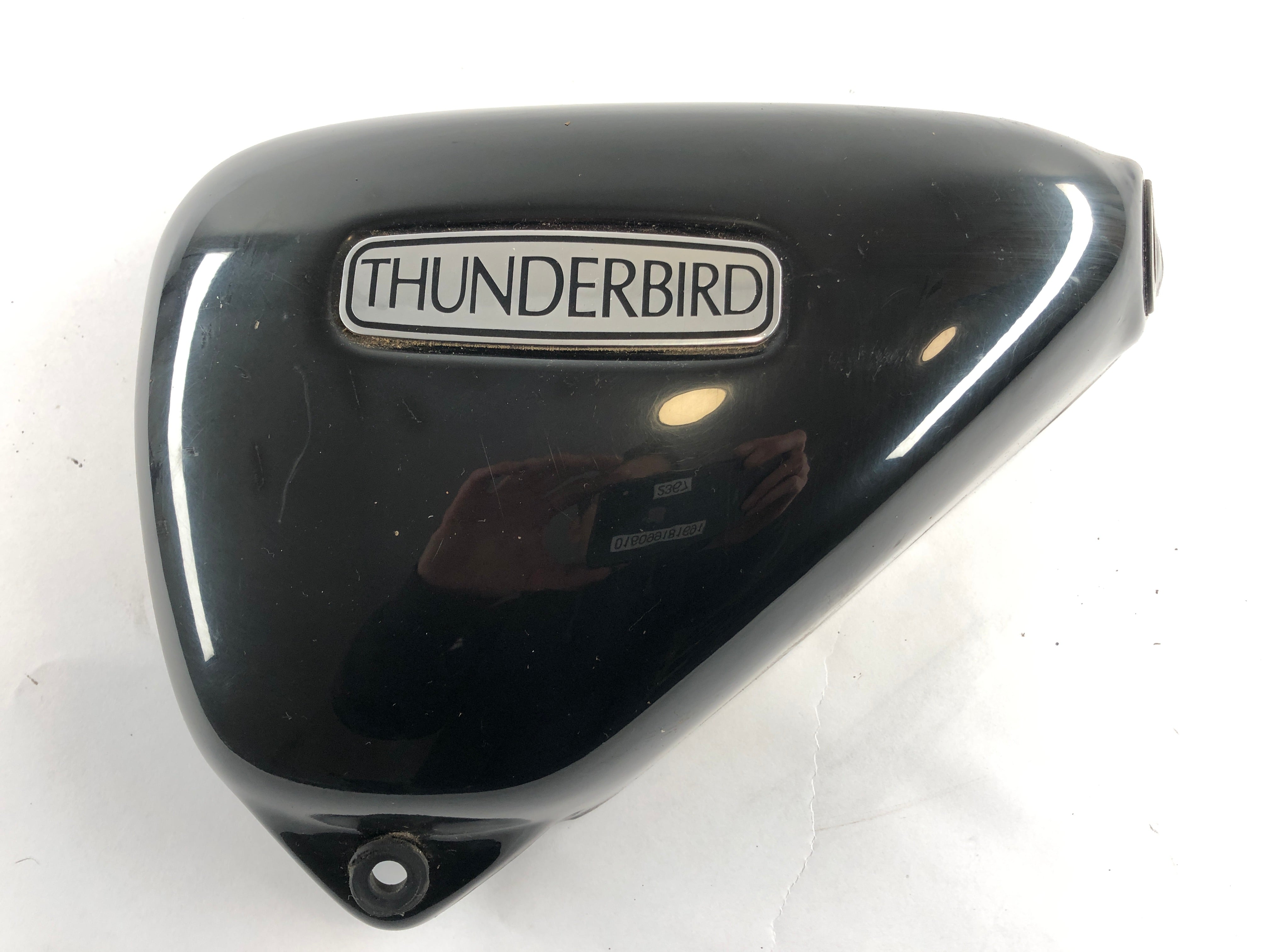 Triumph Thunderbird 900 RT T309 [1997] -Serneckel左 - 0