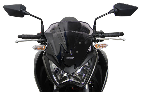 Kawasaki Z250 13- / Z300 15- [2013-]- Racing Disc "R"