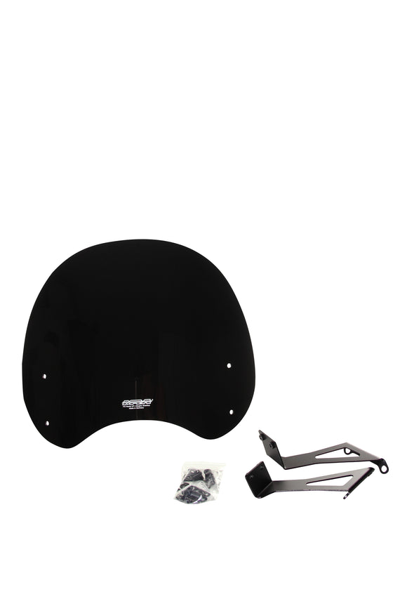 川崎Z 900 RS [2018-]  - ツーリングディスク "NTM"