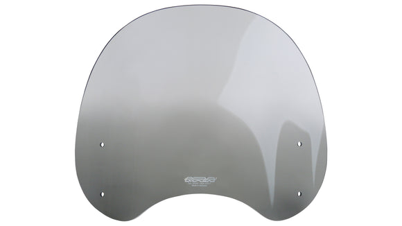 川崎Z 650 RS [2022-]  - ツーリングディスク "NTM"