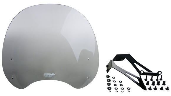 川崎Z 650 RS [2022-]  - ツーリングディスク "NTM"