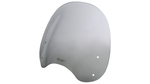 川崎Z 650 RS [2022-]  - ツーリングディスク "NTM"