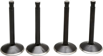 harley davidson fl shovel [KIBBLEWHITE] – Black Diamond™ Motorventil-Kit