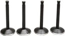 Harley Davidson FX Shovel [KIBBLEWHITE] – Black Diamond™ Motorventilsatz