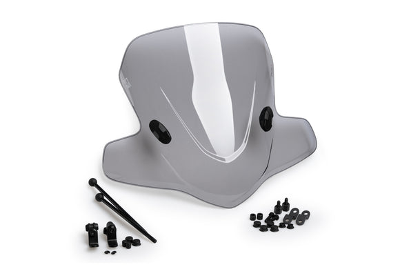 SUZUKI ZILLION [2000] – Rollerscheibe City Touring – Getönt