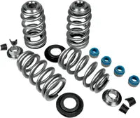 Buell Blast 500 [2000-2003] - Kit molle valvola Econo Beehive® - Figura 9