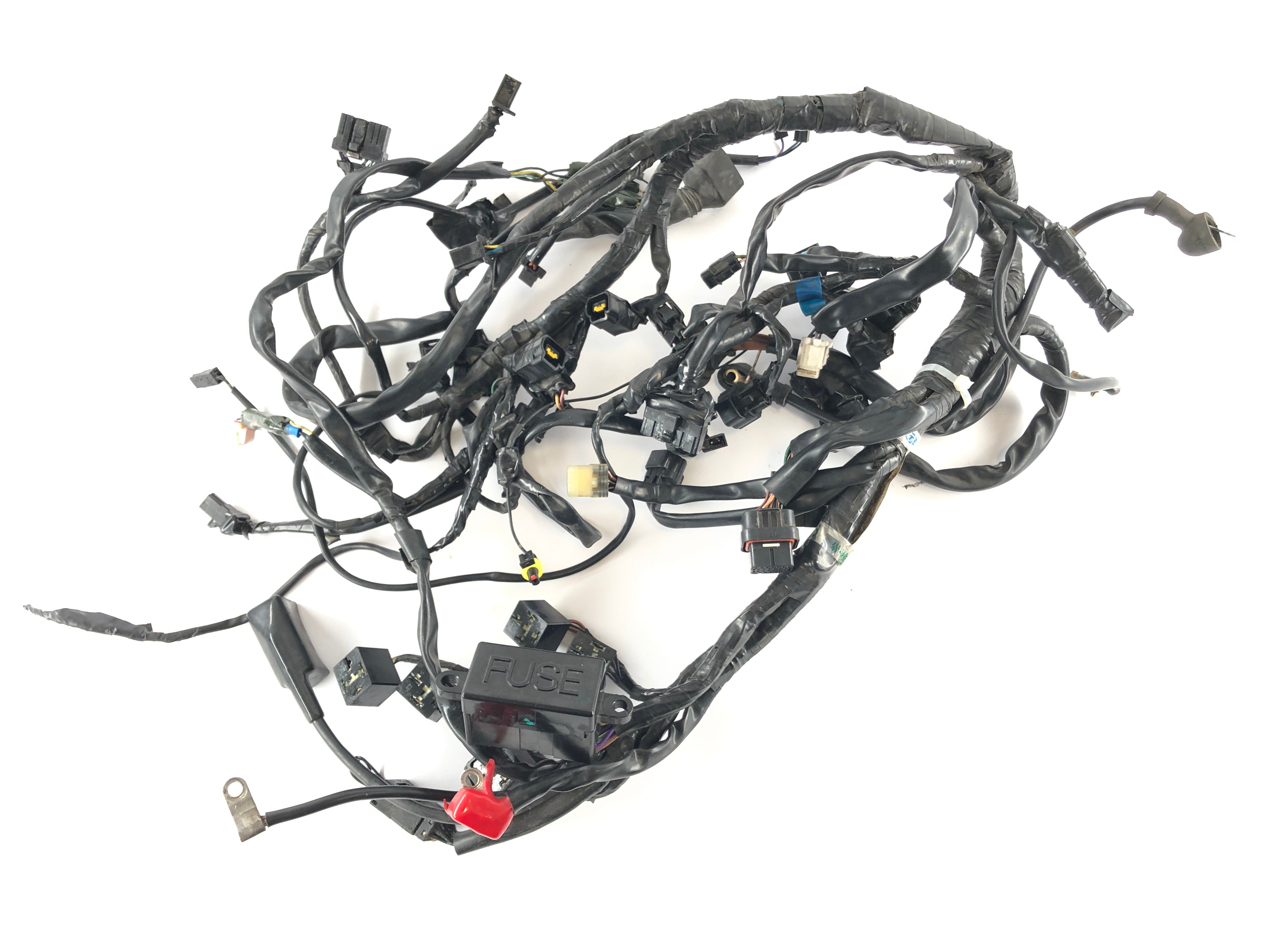 Triumph Speed Triple 1050 515NJ [2005] -Wiring Harness