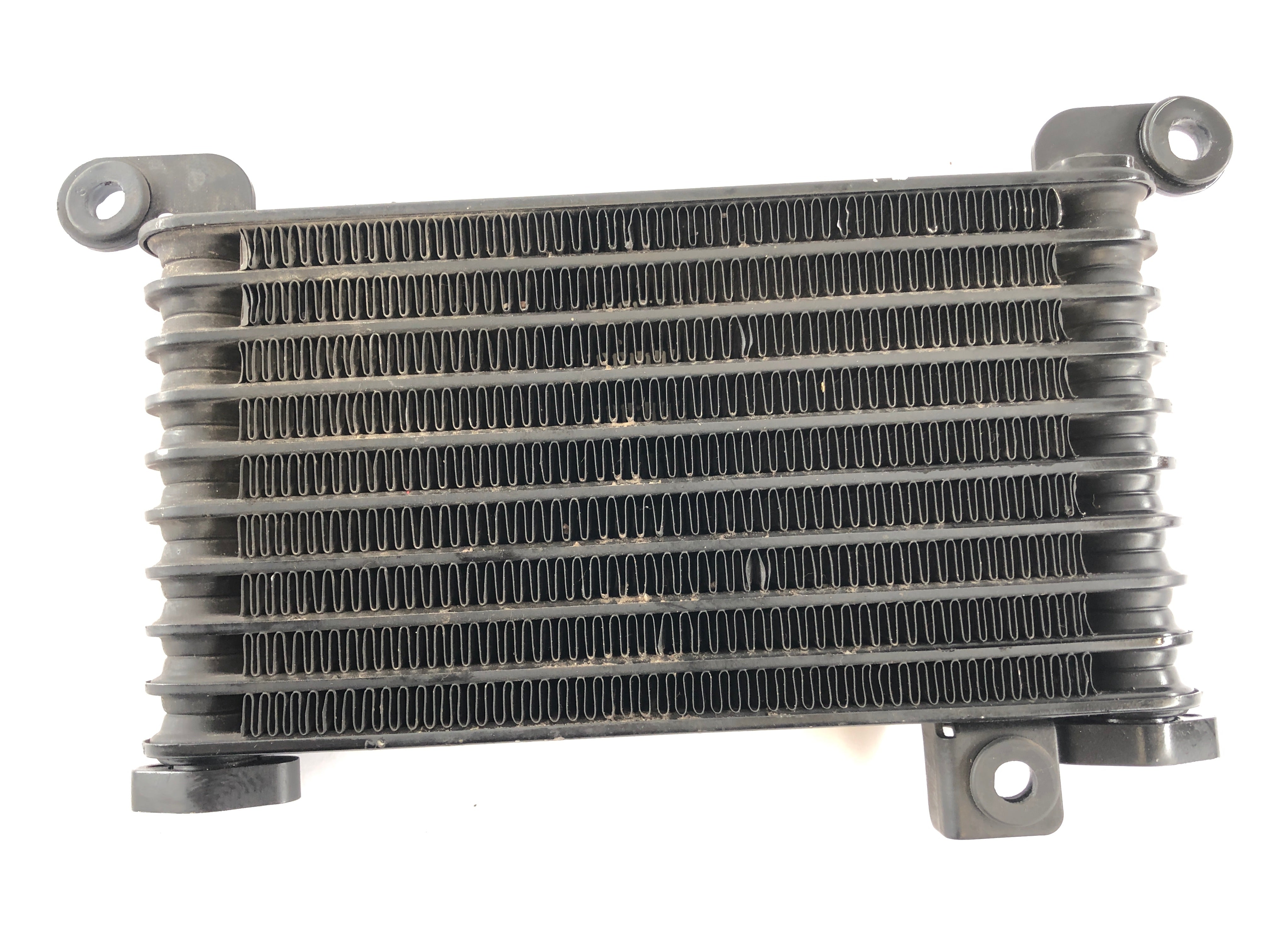 Triumph Speed ​​Triple 1050 515NJ [2006] - Oil cooler radiator - 0