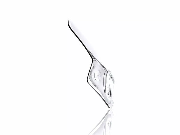 BMW R 1200 R [WRS] - forrude