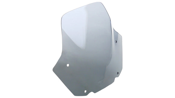 Honda CB 650 R [2019-2023] – Sportscheibe "NSPM"