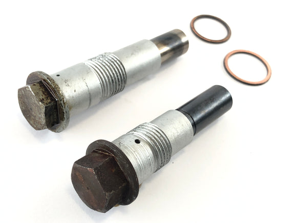 BMW R 1200 C 259C [1998] - Tensor da cadeia tributária