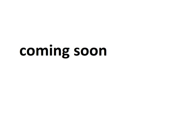 Honda CBR 600 RR [2003-2004] -Racing Disc "R"