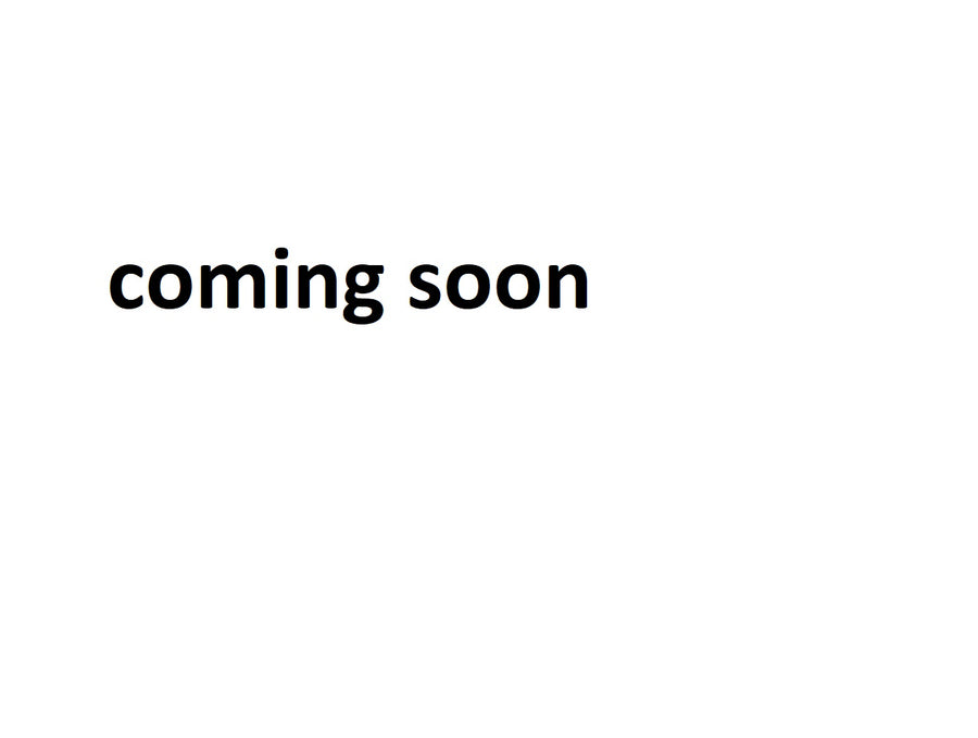 川崎GPX 750 R-ネタバレディスク "SN"