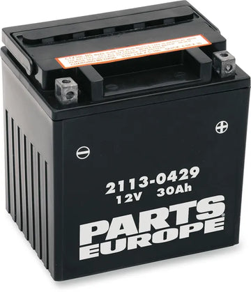 BMW F 650 GS Dakar [PARTS EUROPE] – Parts Europe Batterie