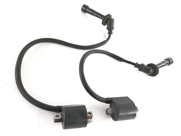 Suzuki DL 1000 V -strom [2006] - Ignition Coil Set Couple
