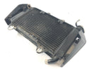 KTM Duke 125 [2011] - Radiator Water Cooler-4