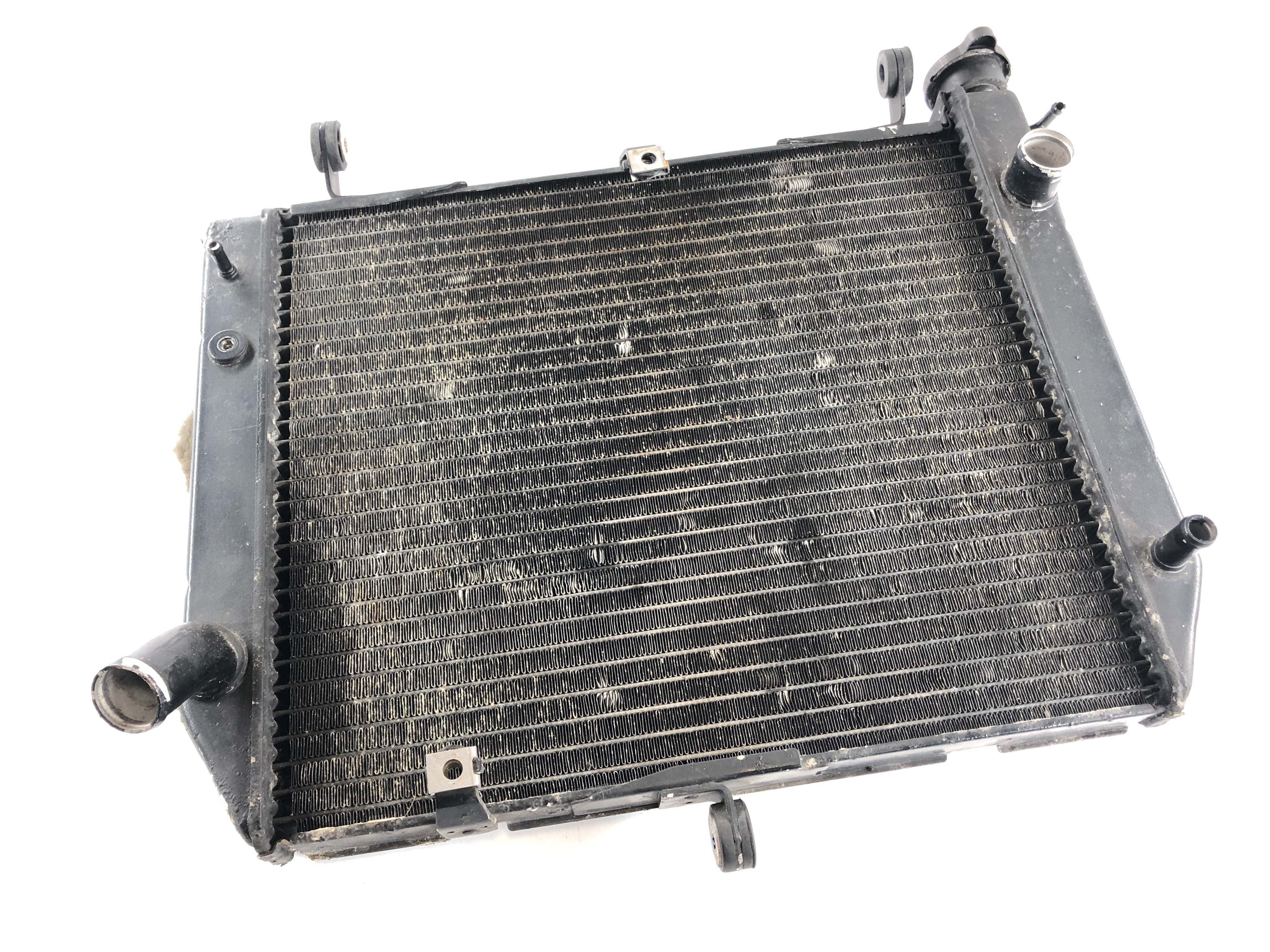 Yamaha YZF R1 RN04 [2000] - Water Cooler Radiator