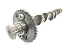 Triumph Daytona 900 T300 [1996] - Einlassnockenwelle Nockenwelle-6
