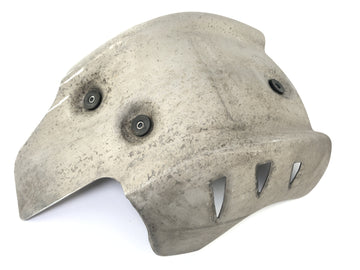 BMW F 650 GS Dakar [2007] - Engine protection underride protection