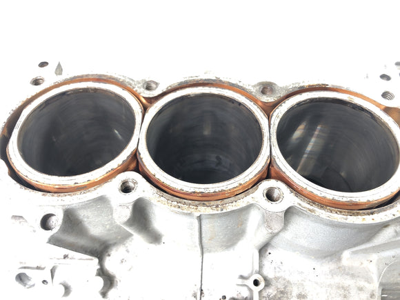 Triumph Daytona 955i T595N [2003] - Motorgehäuse Zylinderblock Motorblock