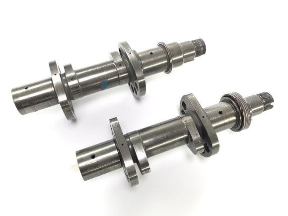 Ducati 999 H4 [2003] - vačkové hřídele v páru zadního set