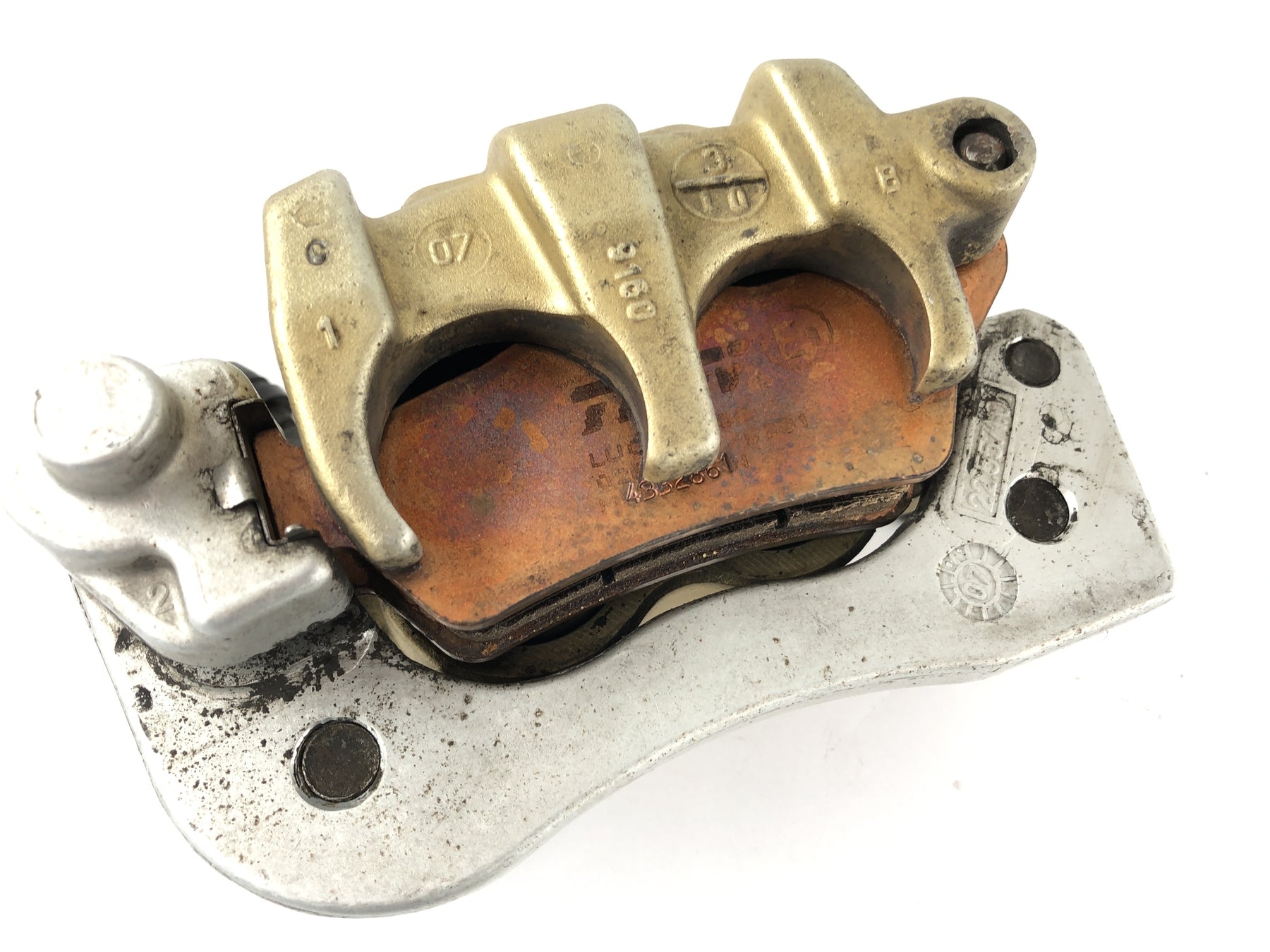 Moto Guzzi 1200 Sport [2007] - Rear brake caliper