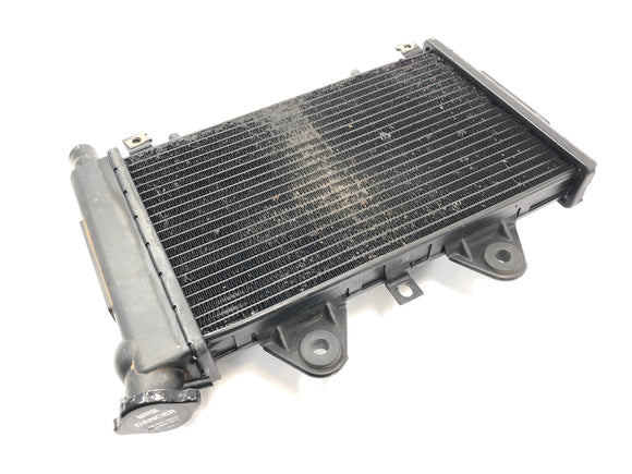 Triumph Daytona 900 T300 [1996] - Kühler Wasserkühler