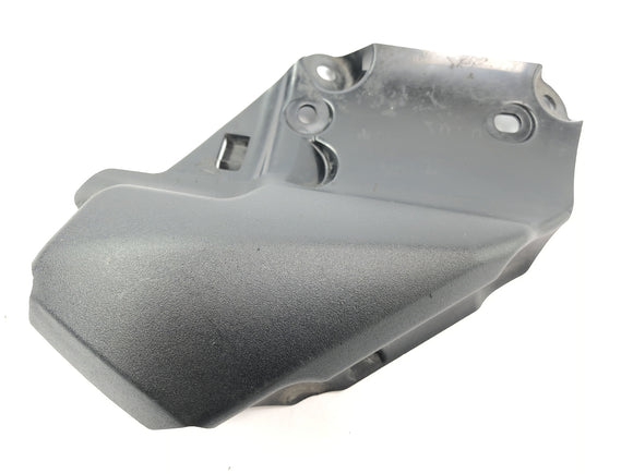 Triumph Street Triple R 675 D67ld [2010]  - フレームカバレッジが残っています