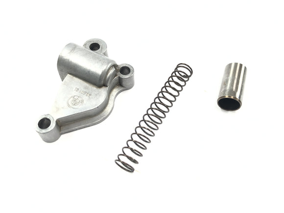 BMW R 1100 GS 259 [1995] - Steuerkettenspanner Spannvorrichtung Feder Kit