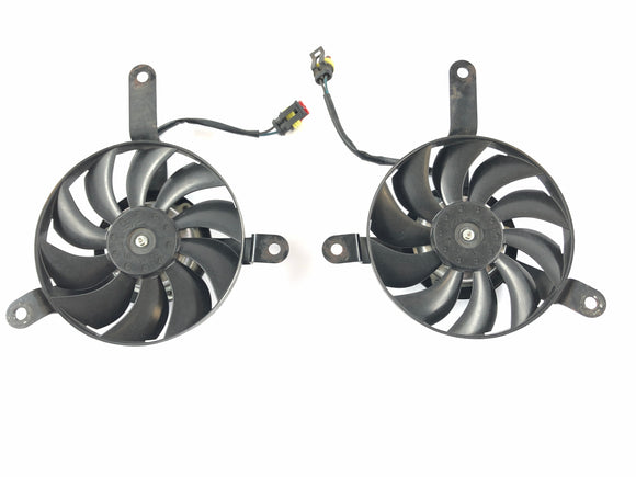 Ducati 1098 S H7 [2009] - Пара фанатов получателя