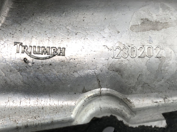 Triumph Sprint St 1050 [2005] - víko motoru olejové pánve níže