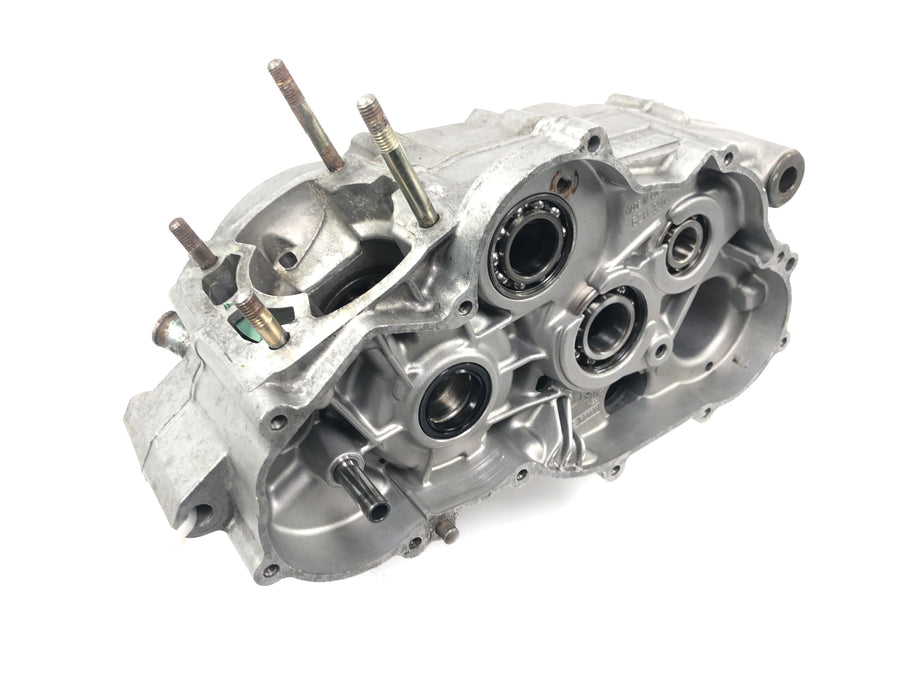 Aprilia RS 125 Extrema [1994] - ROTAX 123 engine housing crankcase engine block