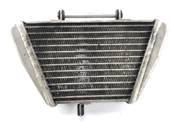 Aprilia RSV4 1000 [2010] - enfriador de aceite - 0