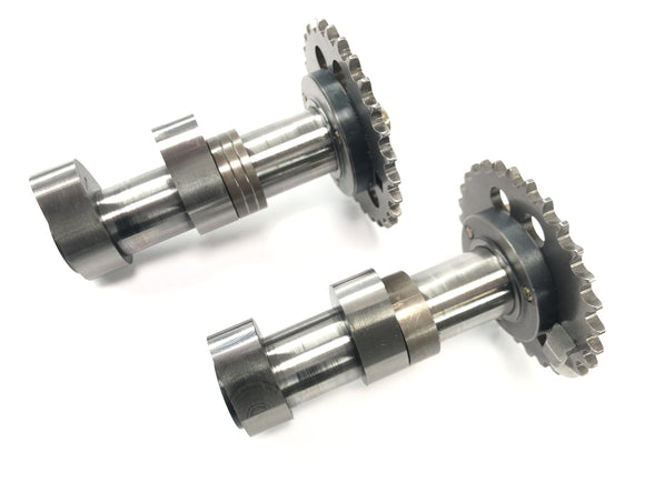 Aprilia RSV 1000 RP Mille [2001] - Kamakselsett foran eksoskamaksel og inntakskamaksel fremre sylinder