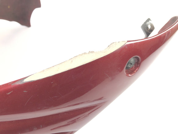 Benelli TNT 1130 [2009] - Spoiler pulpito