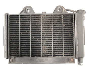 Triumph Daytona 900 T300 [1993] - chłodnica chłodnicy chłodnej wody z przodu - 0