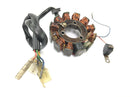Suzuki RG 250 Gamma GJ21D [1987] - Stator alternator generator svitak paljenja Lima-5