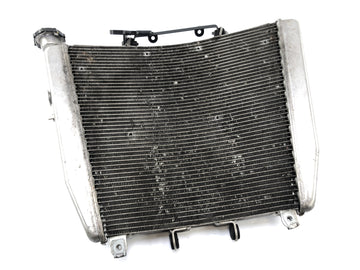 Aprilia RSV4 1000 [2010] - Enfriador de agua