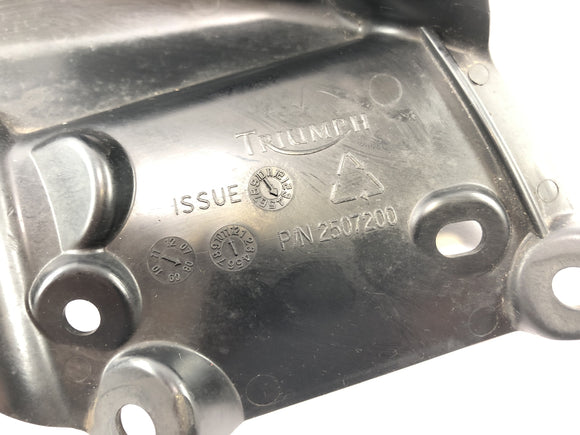 Triumph Street Triple R 675 D67ld [2010]  - フレームカバレッジが残っています