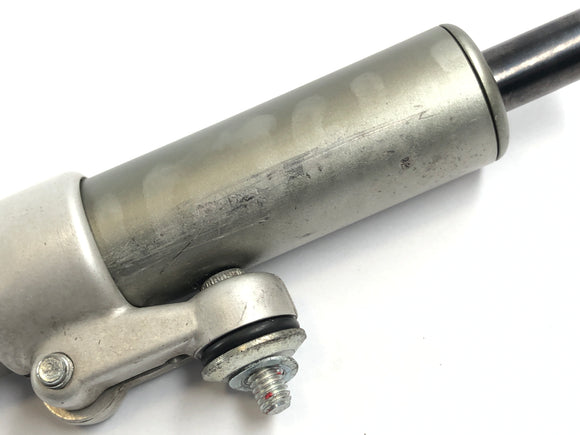 Ducati 1098 S H7 [2009] - Tlumič řízení