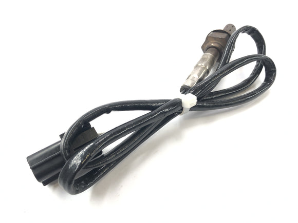 Triumph Daytona 955i T595N [2003] - Lambdasonde