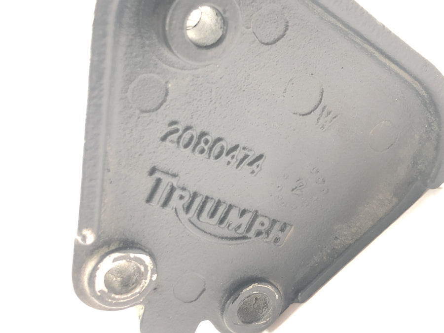 Triumph Tiger 955i 709EN [2003] - Fahrerfußraste links mit Halter