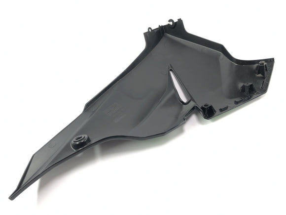 川崎忍者125 BX125B [2024]  - クリアページクラッディングバグクラッド右