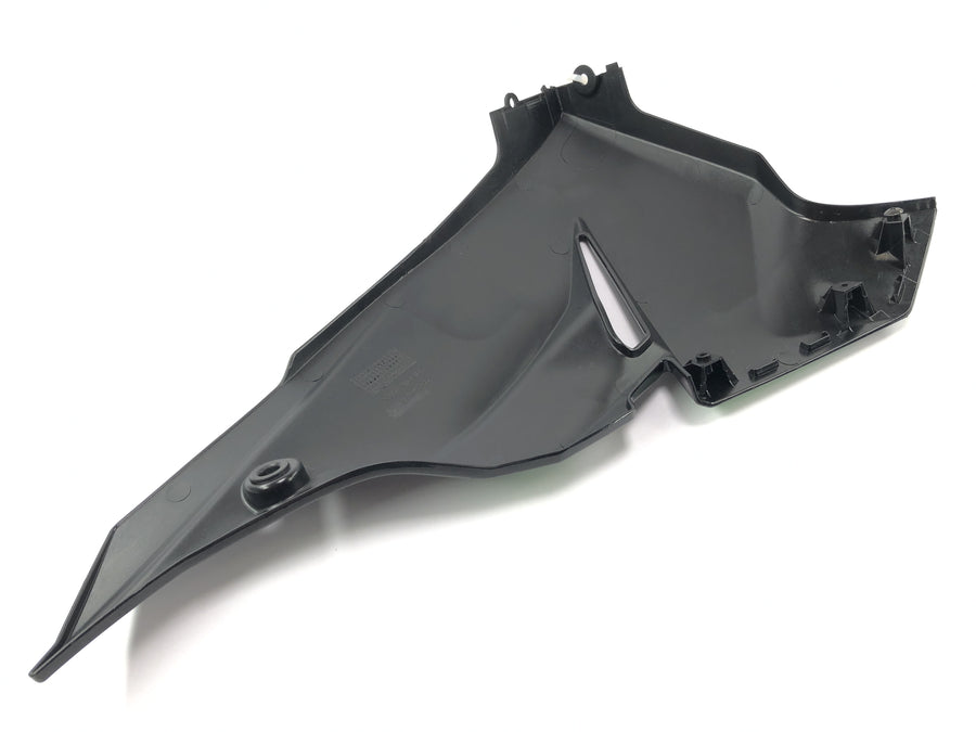 Kawasaki Ninja 125 BX125B [2024] - Clearing Page Cladding Bug Cladding Right