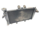 Triumph Speed Triple 1050 515NJ [2007] - Radiator Motorcykel Radiator varmeveksler-2