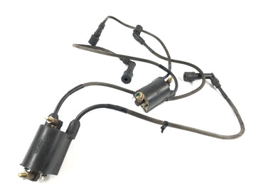 Kawasaki VN 1600 Средняя полоса Vnt60b [2005] - Пара катушек зажигания с помощью заглушки зажига - 0