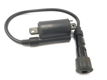 KTM 690 SM Prestige [2007] - катушка зажигания с заглушкой зажигания - 0