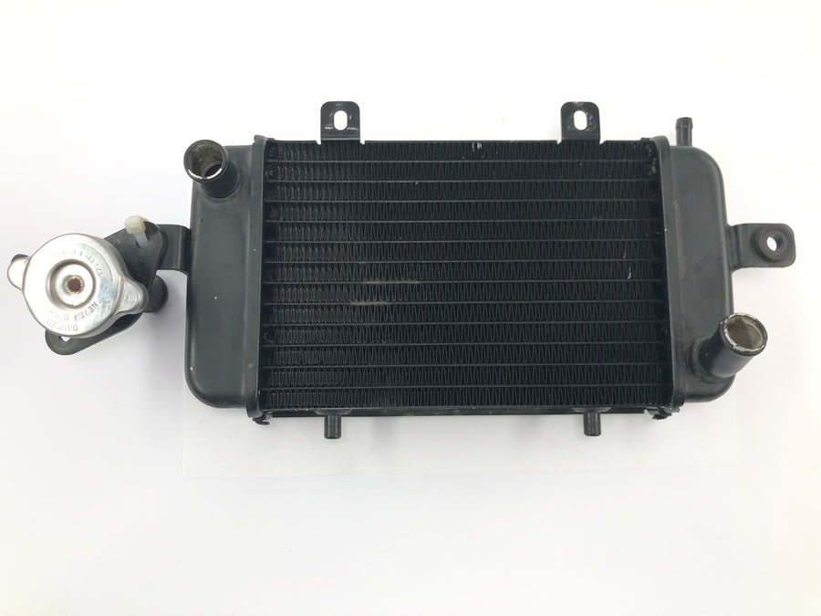 BMW C1 125 [2002] - Kühler Wasserkühler Kühlradiator Kühlsystem mit Einfüllstutzen