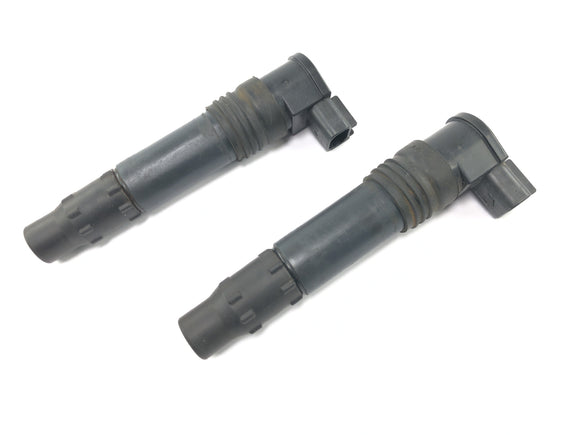 Kawasaki Versys KLE 650 A [2006] - Bobina de encendido varilla bobina de encendido conector bujía Denso set